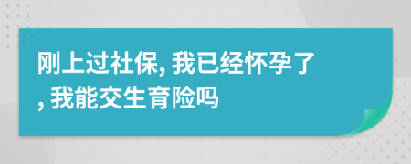 剛上過社保, 我已經(jīng)懷孕了, 我能交生育險嗎
