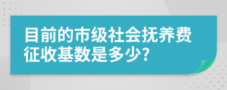 目前的市級(jí)社會(huì)撫養(yǎng)費(fèi)征收基數(shù)是多少?