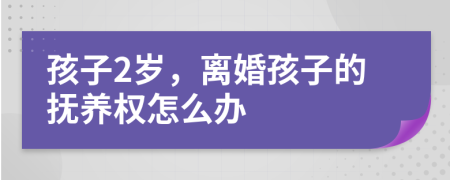 孩子2歲，離婚孩子的撫養(yǎng)權(quán)怎么辦