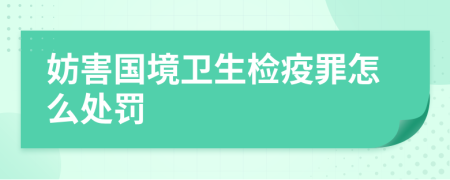 妨害國境衛(wèi)生檢疫罪怎么處罰