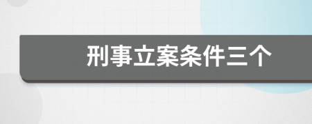 刑事立案條件三個(gè)