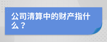 公司清算中的財(cái)產(chǎn)指什么？
