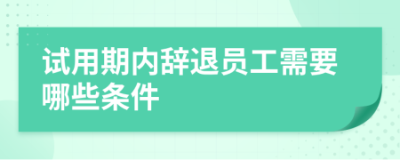 試用期內(nèi)辭退員工需要哪些條件