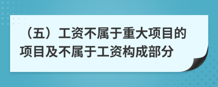 (五)工資不屬于重大項目的項目及不屬于工資構(gòu)成部分