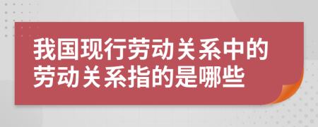 我國現(xiàn)行勞動關(guān)系中的勞動關(guān)系指的是哪些