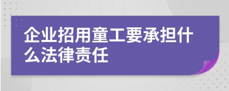 企業(yè)招用童工要承擔(dān)什么法律責(zé)任