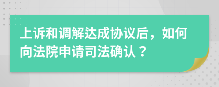 上訴和調(diào)解達(dá)成協(xié)議后，如何向法院申請(qǐng)司法確認(rèn)？