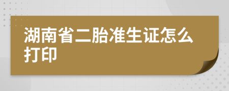湖南省二胎準(zhǔn)生證怎么打印