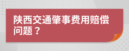 陜西交通肇事費用賠償問題?