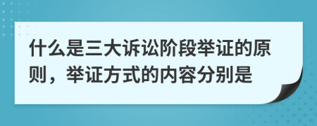 什么是三大訴訟階段舉證的原則，舉證方式的內(nèi)容分別是