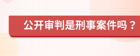 公開審判是刑事案件嗎？