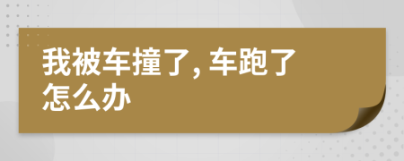 我被車撞了, 車跑了怎么辦