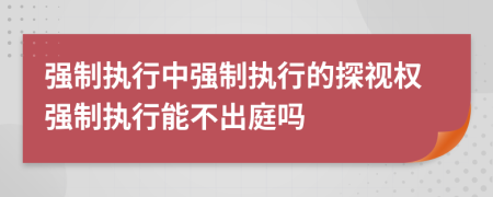 强制执行中强制执行的探视权强制执行能不出庭吗