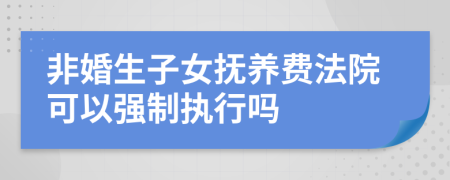 非婚生子女撫養(yǎng)費(fèi)法院可以強(qiáng)制執(zhí)行嗎