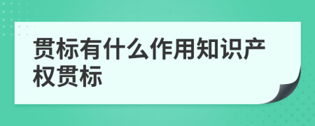 貫標(biāo)有什么作用知識(shí)產(chǎn)權(quán)貫標(biāo)
