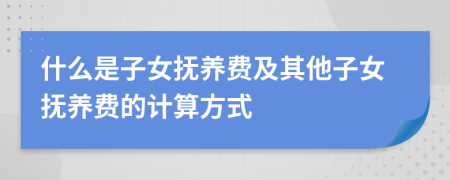什么是子女撫養(yǎng)費(fèi)及其他子女撫養(yǎng)費(fèi)的計(jì)算方式
