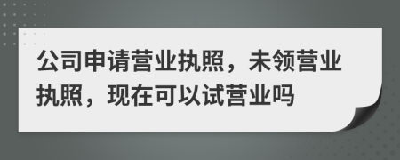 公司申請(qǐng)營(yíng)業(yè)執(zhí)照，未領(lǐng)營(yíng)業(yè)執(zhí)照，現(xiàn)在可以試營(yíng)業(yè)嗎