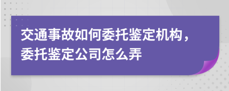 交通事故如何委托鑒定機構(gòu)，委托鑒定公司怎么弄