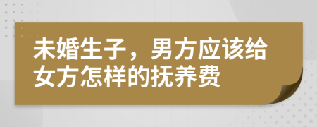 未婚生子，男方應該給女方怎樣的撫養(yǎng)費
