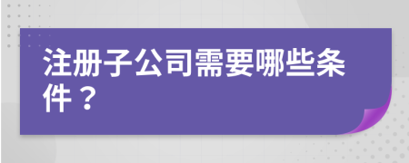 注冊子公司需要哪些條件？