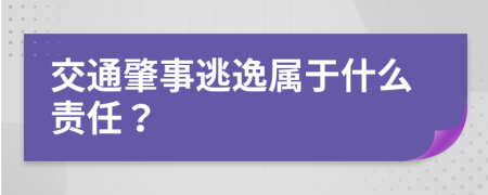 交通肇事逃逸屬于什么責(zé)任？