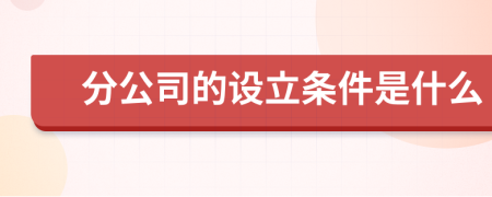 分公司的設(shè)立條件是什么