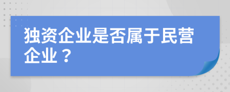 獨資企業(yè)是否屬于民營企業(yè)？
