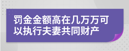 罰金金額高在幾萬(wàn)萬(wàn)可以執(zhí)行夫妻共同財(cái)產(chǎn)