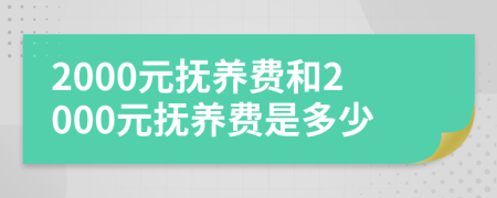 2000元撫養(yǎng)費(fèi)和2000元撫養(yǎng)費(fèi)是多少