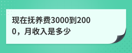 現(xiàn)在撫養(yǎng)費3000到2000,月收入是多少