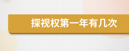 探視權(quán)第一年有幾次