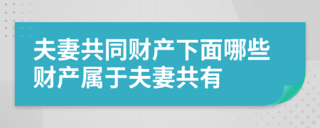 夫妻共同財產(chǎn)下面哪些財產(chǎn)屬于夫妻共有