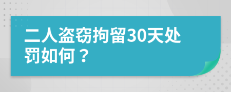 二人盜竊拘留30天處罰如何？