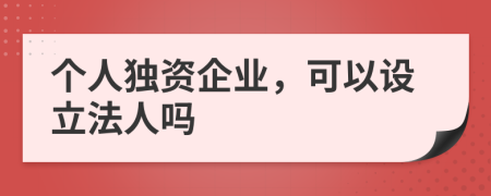 個人獨資企業(yè)，可以設(shè)立法人嗎