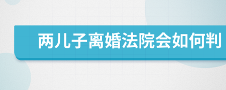 兩兒子離婚法院會如何判