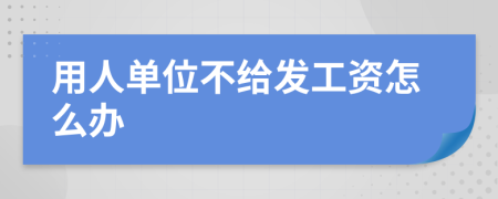 用人單位不給發(fā)工資怎么辦