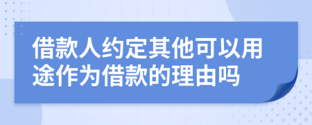 借款人約定其他可以用途作為借款的理由嗎