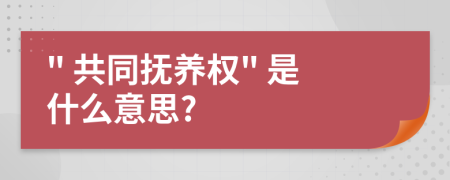 " 共同撫養(yǎng)權(quán)" 是什么意思?
