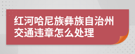 紅河哈尼族彝族自治州交通違章怎么處理