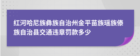 紅河哈尼族彝族自治州金平苗族瑤族傣族自治縣交通違章罰款多少