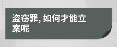盜竊罪, 如何才能立案呢