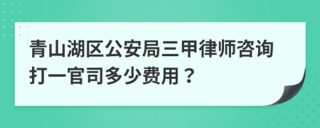 青山湖區(qū)公安局三甲律師咨詢打一官司多少費(fèi)用？