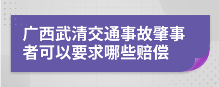 廣西武清交通事故肇事者可以要求哪些賠償