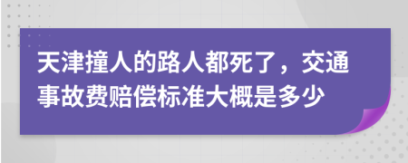 天津撞人的路人都死了，交通事故費(fèi)賠償標(biāo)準(zhǔn)大概是多少