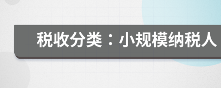 稅收分類：小規(guī)模納稅人