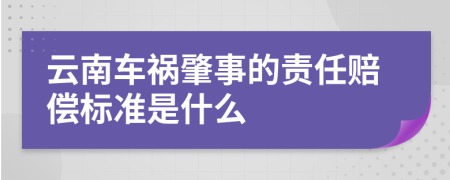 云南車禍肇事的責任賠償標準是什么