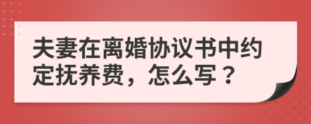 夫妻在離婚協(xié)議書中約定撫養(yǎng)費(fèi)，怎么寫？