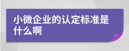 小微企業(yè)的認(rèn)定標(biāo)準(zhǔn)是什么啊
