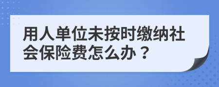 用人單位未按時繳納社會保險費怎么辦？