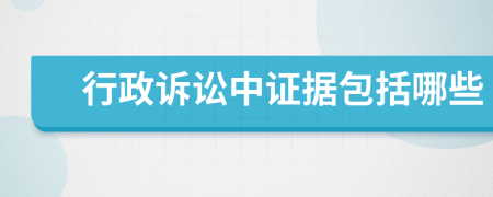 行政訴訟中證據(jù)包括哪些